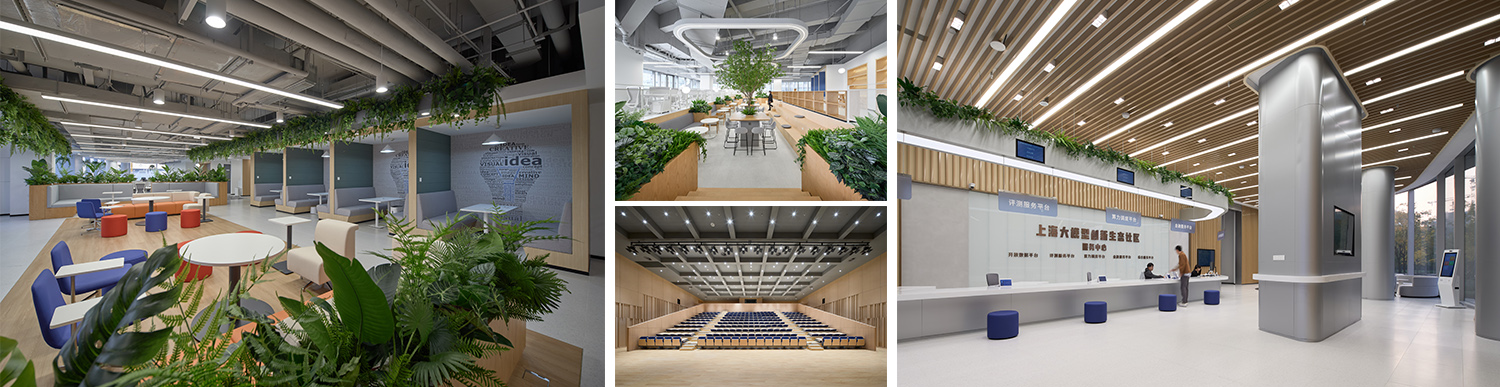 1762760768344063.jpg 3.jpg